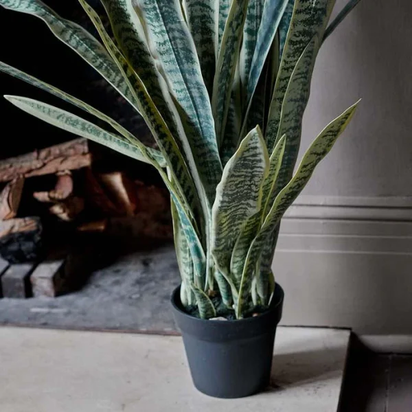 Artificial Snake Plant in Pot - Image 3