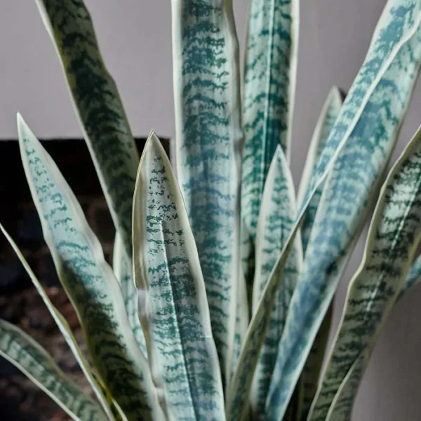 Artificial Snake Plant in Pot