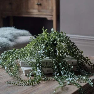 Artificial Trailing Button Fern