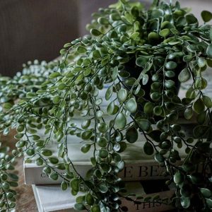 Artificial Trailing Button Fern