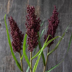 Artificial Wetland Heirloom