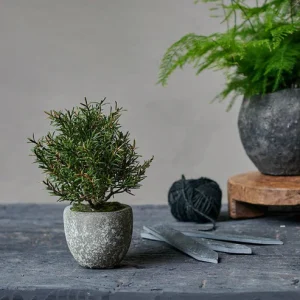 Artificial Rosemary Bush in Pot
