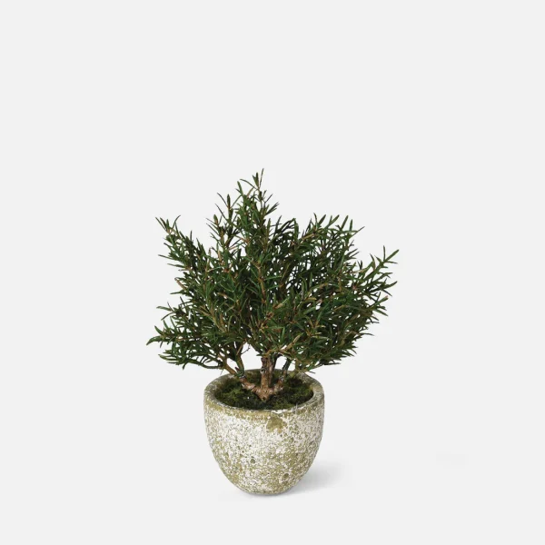 Artificial Rosemary Bush in Pot - Image 6