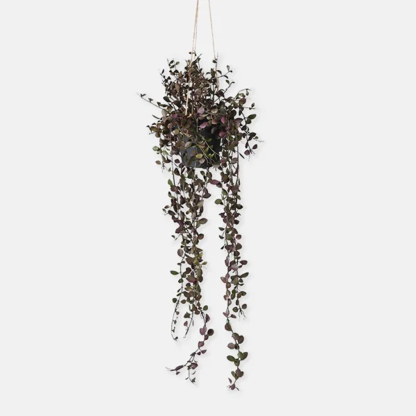 Artificial Trailing Dischidia in Pot - Image 5