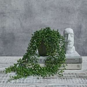 Artificial Trailing String of Pearls