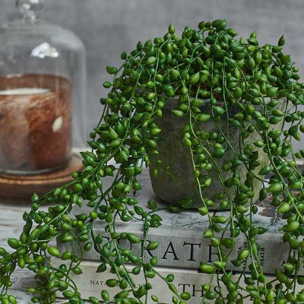 Artificial Trailing String of Pearls - Image 2