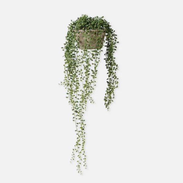 Artificial Trailing String of Pearls - Image 3