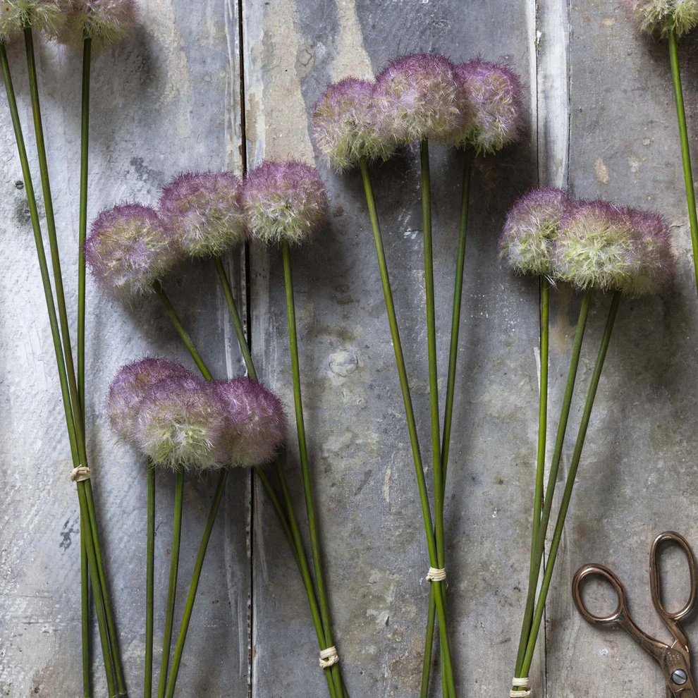 Artificial Allium, Sunset - Image 5