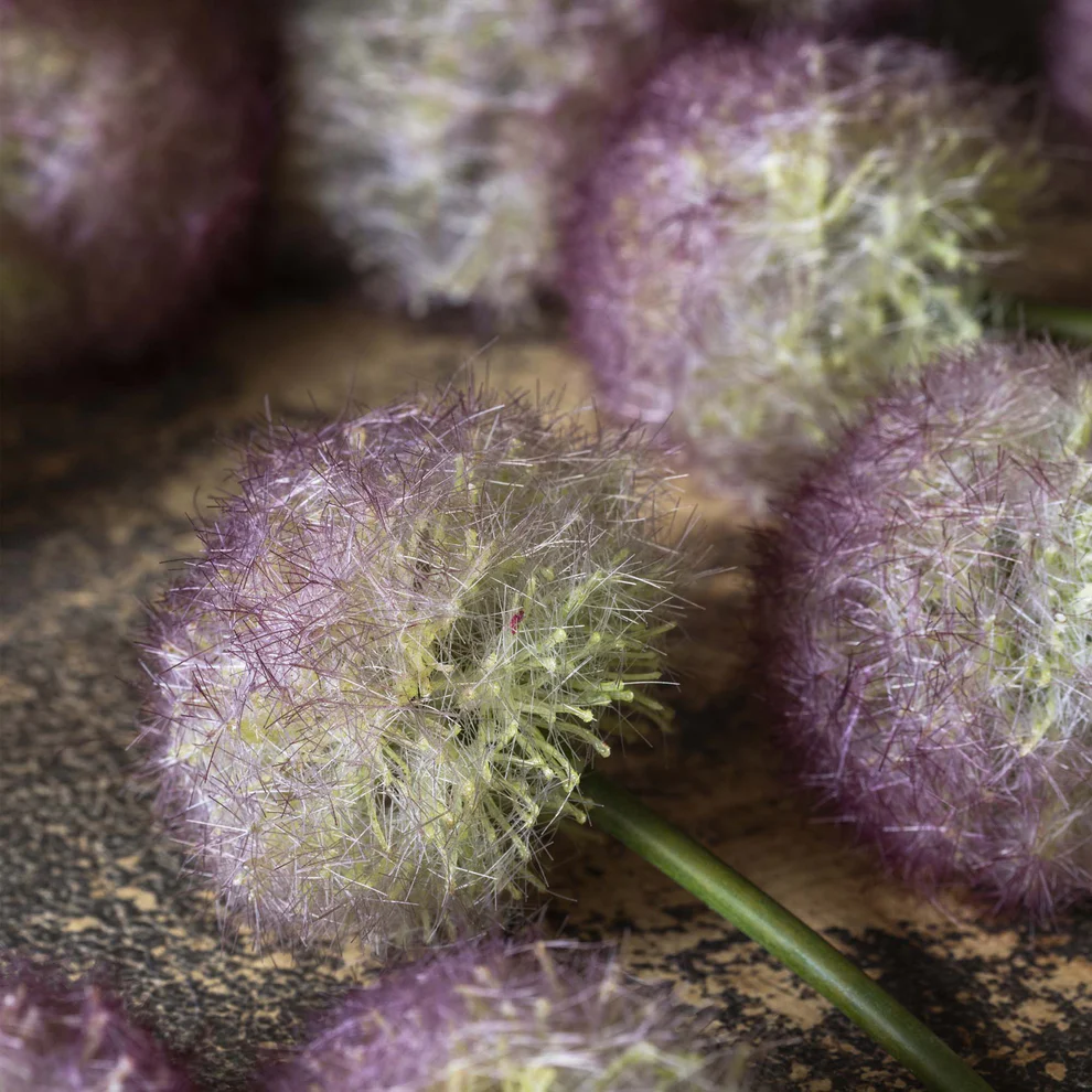 Artificial Allium, Sunset - Image 6