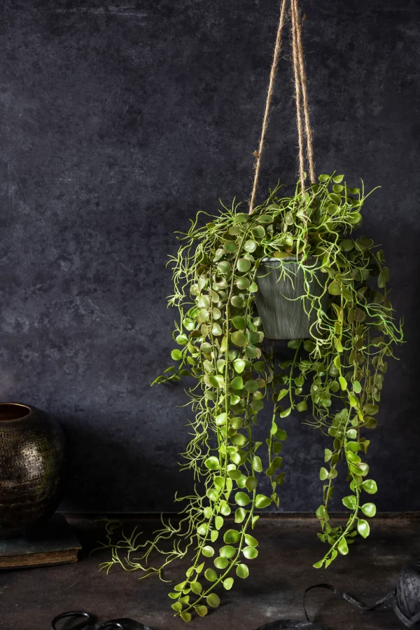 Artificial Angel Hoya Plant in Pot - Image 2