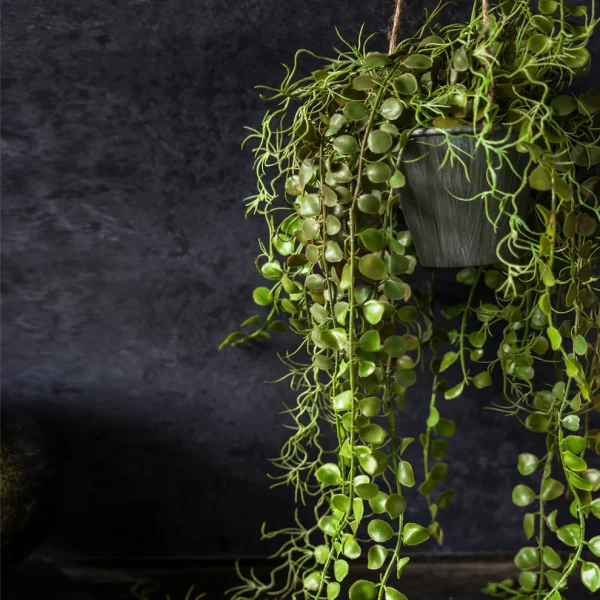 Artificial Angel Hoya Plant in Pot