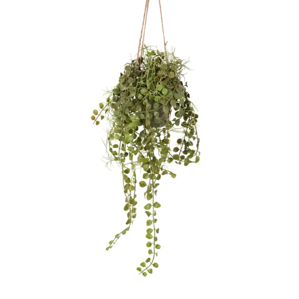 Artificial Angel Hoya Plant in Pot - Image 5