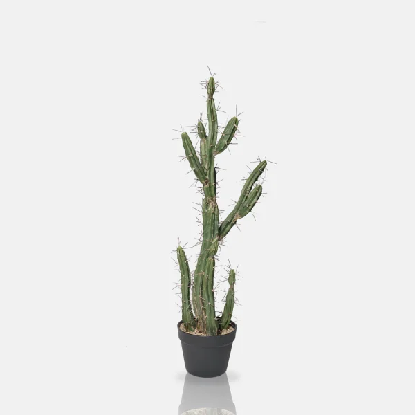 Artificial Cactus - Image 4