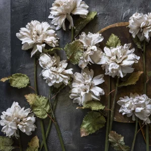 Artificial Dahlia, Evening Dew