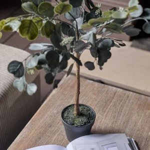 Artificial Eucalyptus