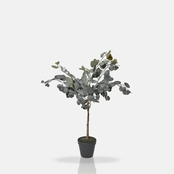 Artificial Eucalyptus - Image 5