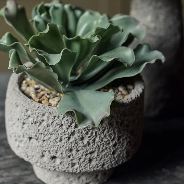 Artificial Kalanchoe - Image 3