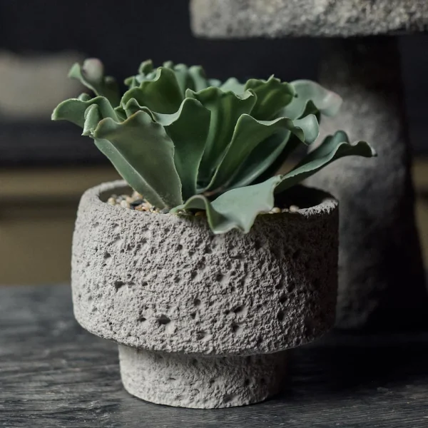 Artificial Kalanchoe - Image 2