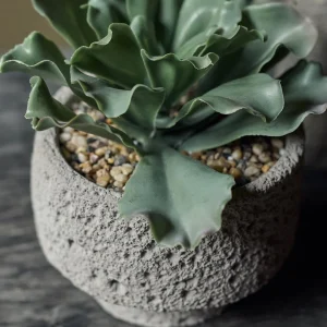 Artificial Kalanchoe