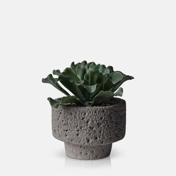 Artificial Kalanchoe - Image 4