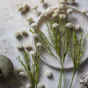 Artificial Melaleuca, Cream - Large