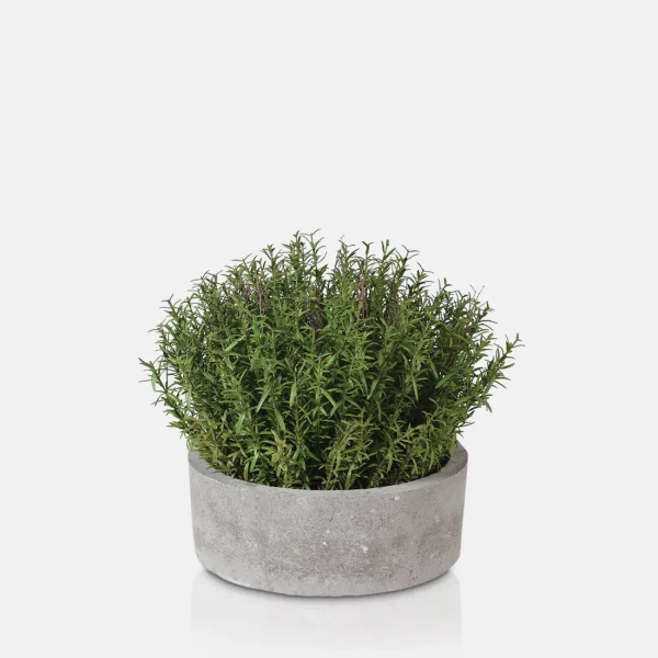 Artificial Rosemary Plant - Image 2
