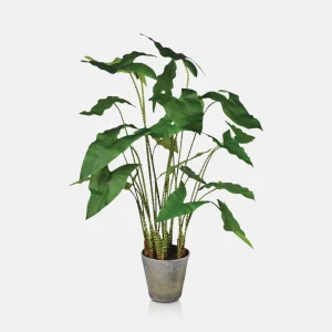 Artificial Potted Zebra Plant - Large