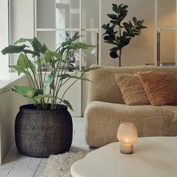 Artificial Potted Zebra Plant - Large - Image 2