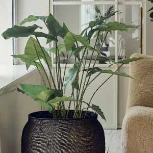 Artificial Potted Zebra Plant - Large