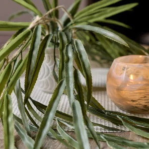 Artificial Rhipsalis