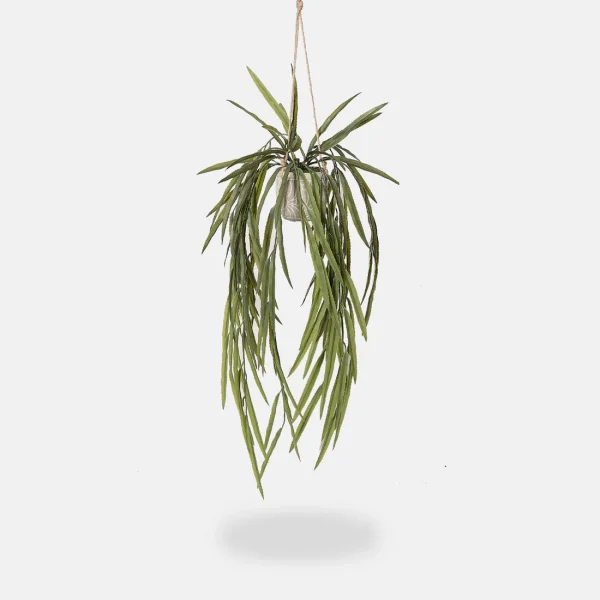 Artificial Rhipsalis - Image 4
