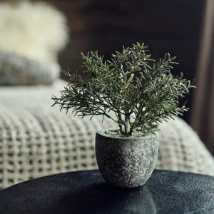 Artificial Rosemary Bush in Pot
