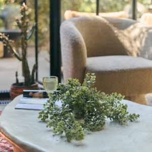 Artificial Trailing Eucalyptus