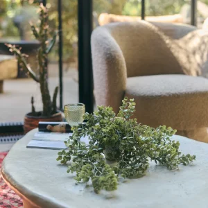Artificial Trailing Eucalyptus