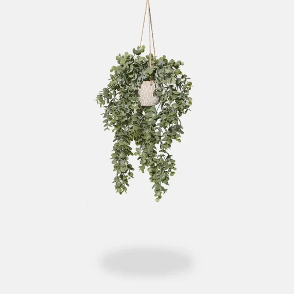 Artificial Trailing Eucalyptus - Image 5