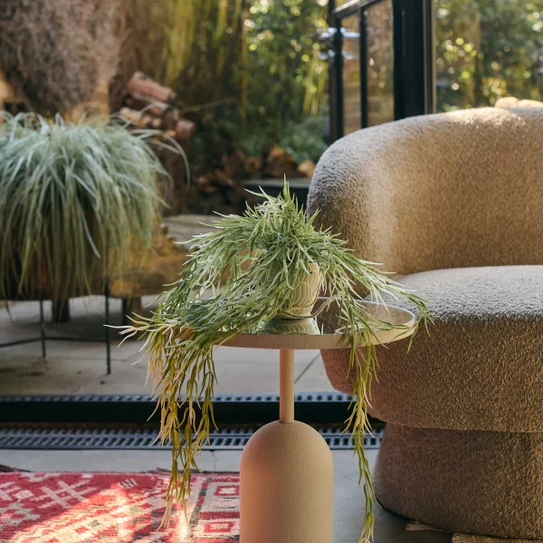 Artificial Trailing Horsetail - Image 2