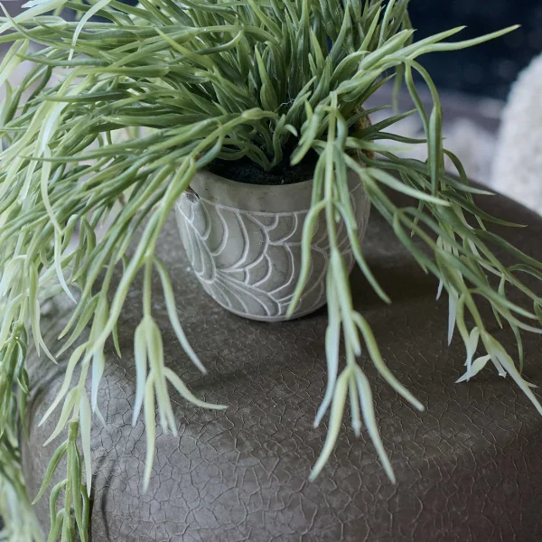 Artificial Trailing Horsetail - Image 4