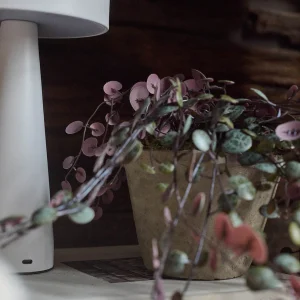 Artificial Trailing String of Hearts