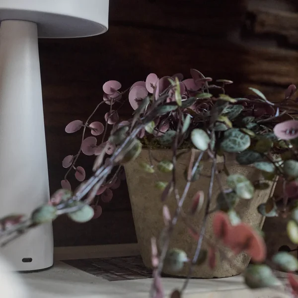 Artificial Trailing String of Hearts