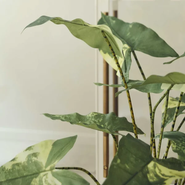 Artificial Variegated Zebra Plant - Medium - Image 4