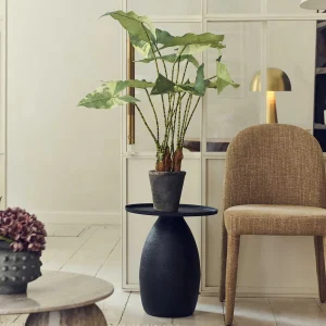 Artificial Variegated Zebra Plant - Medium