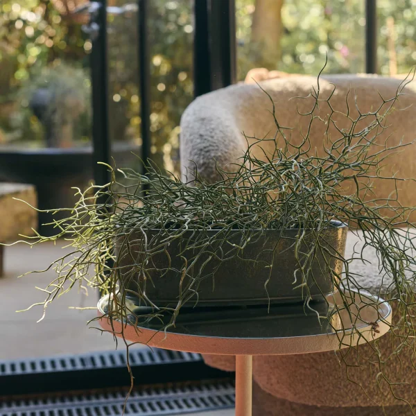 Ervin Indoor Planter - Image 3