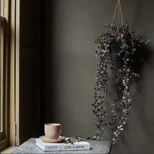 Artificial Trailing Dischidia in Pot